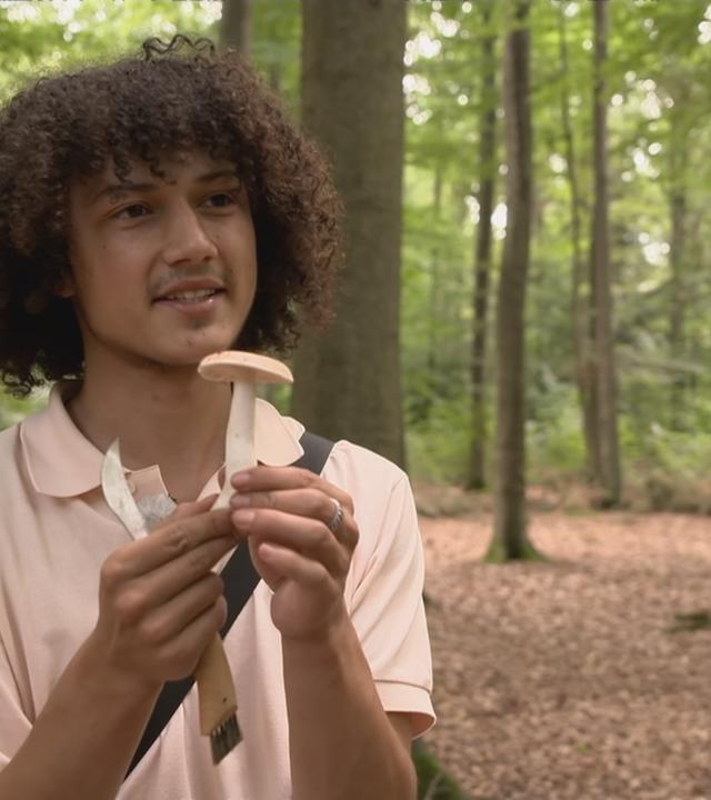 Tipps vom Pilzfluencer Tristan Jurisch