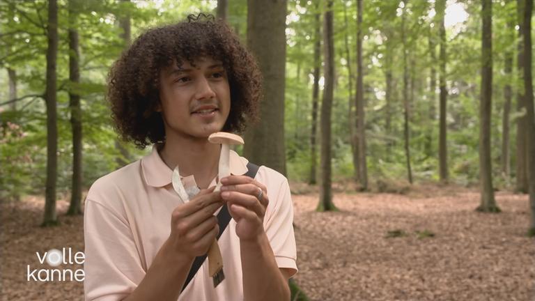 Tipps vom Pilzfluencer Tristan Jurisch