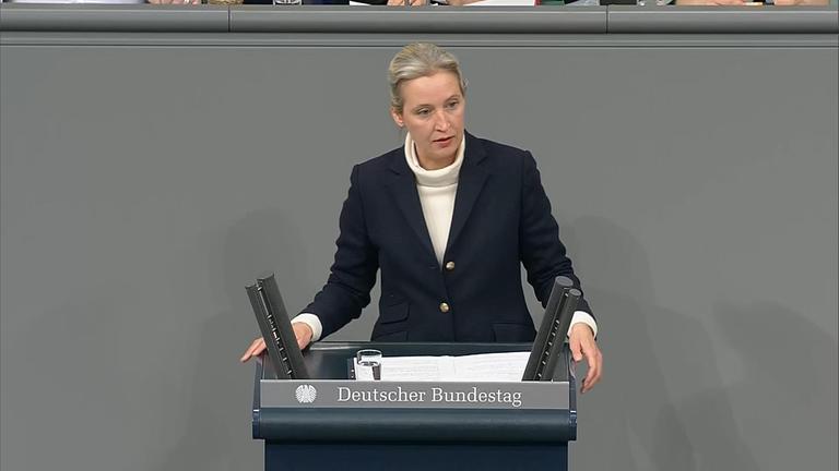 Alice Weidel spricht im Bundestag