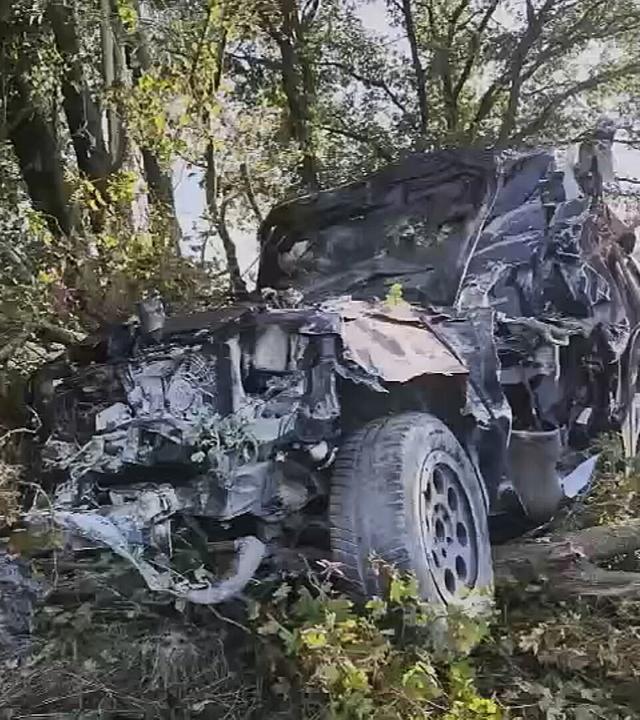 Auf dem Bild ist zu sehen: Ein stark beschädigtes und dunkel verkohltes Auto steht in Emstek zwischen Bäumen und dichtem Gestrüpp.