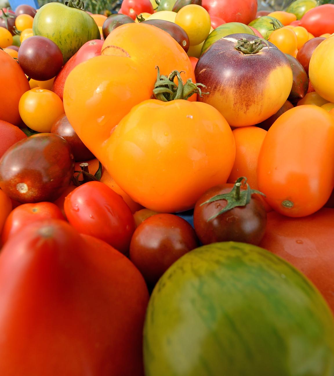 Verschiedene Tomatensorten angehäuft