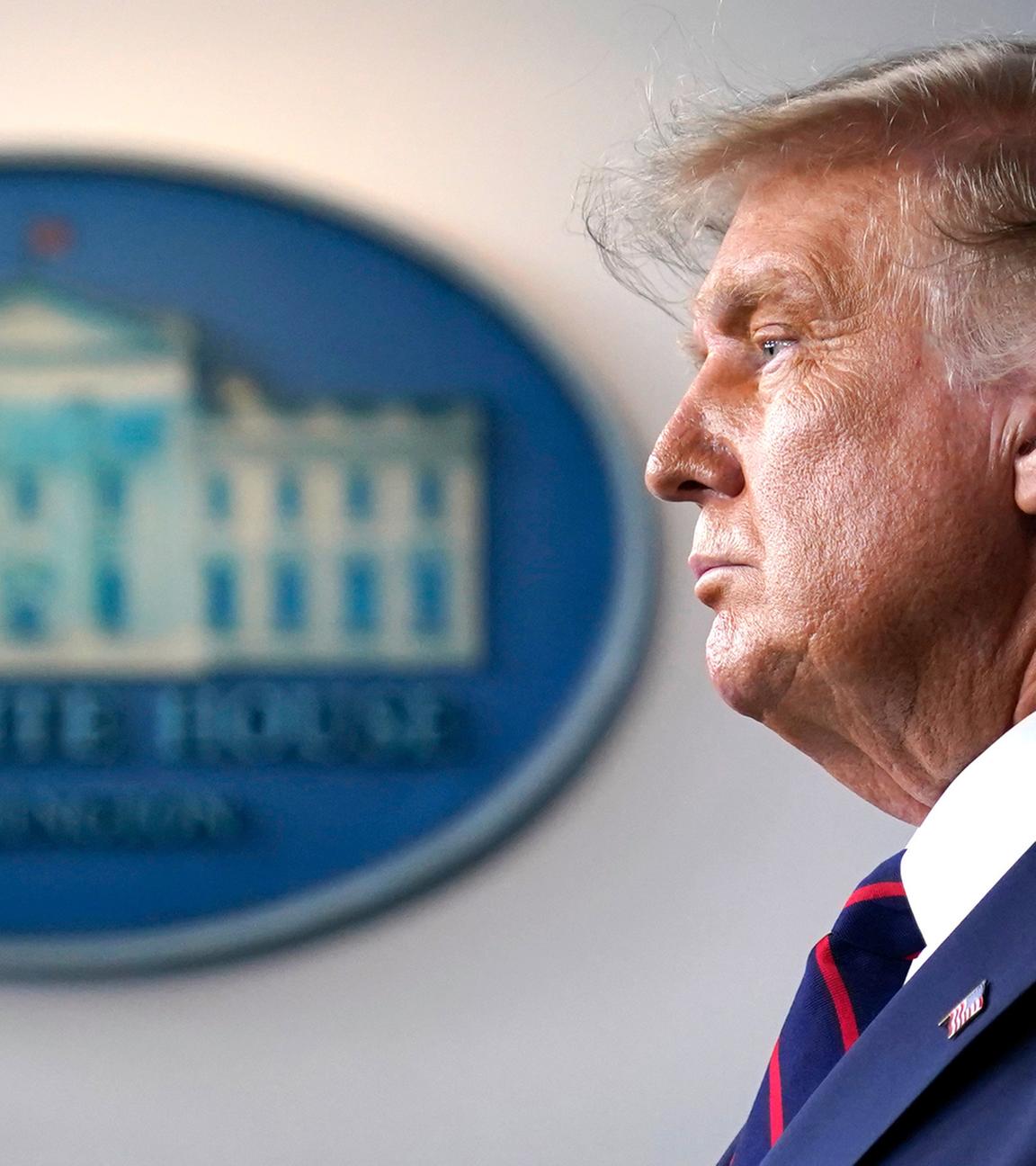 Donald Trump im Profil.