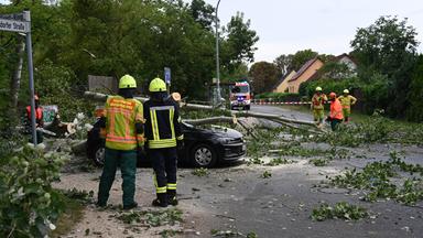 Ein umgestürzter Baum liegt nach einem Unwetter in Fürstenwalde-Süd auf einem Auto.