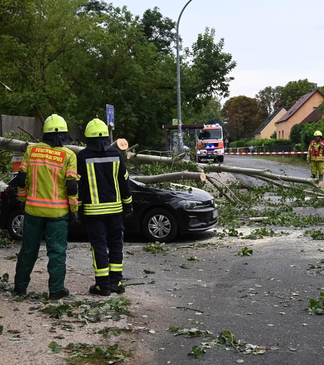 Ein umgestürzter Baum liegt nach einem Unwetter in Fürstenwalde-Süd auf einem Auto.