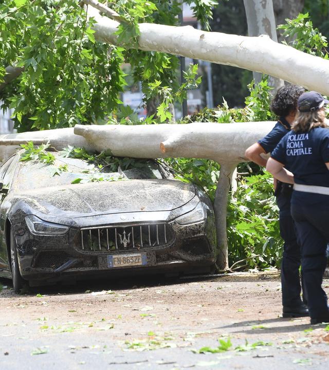 Schäden durch einen Tornado: Ein Auto wurde unter einem abgebrochenen Ast begraben.