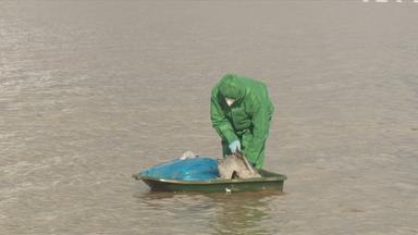 Mann legt toten Kranich in ein Boot