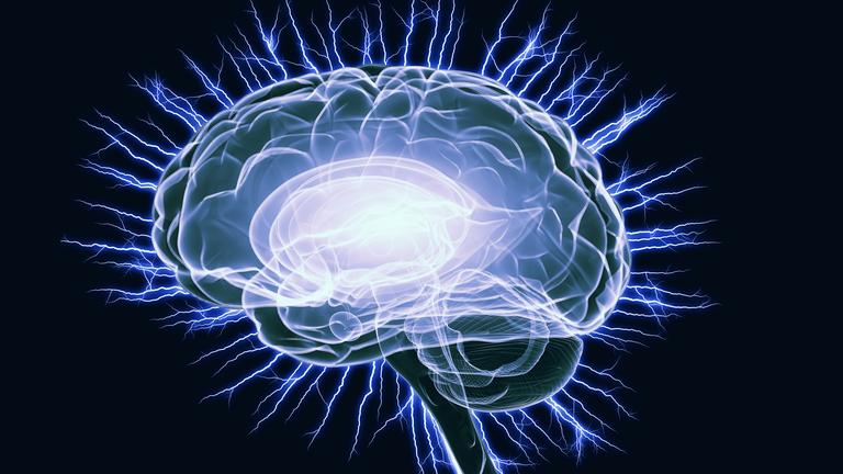 Die grafische Darstellung eines menschlichen Gehirns.
