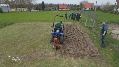 Menschen schauen einem Traktor bei der Arbeit zu