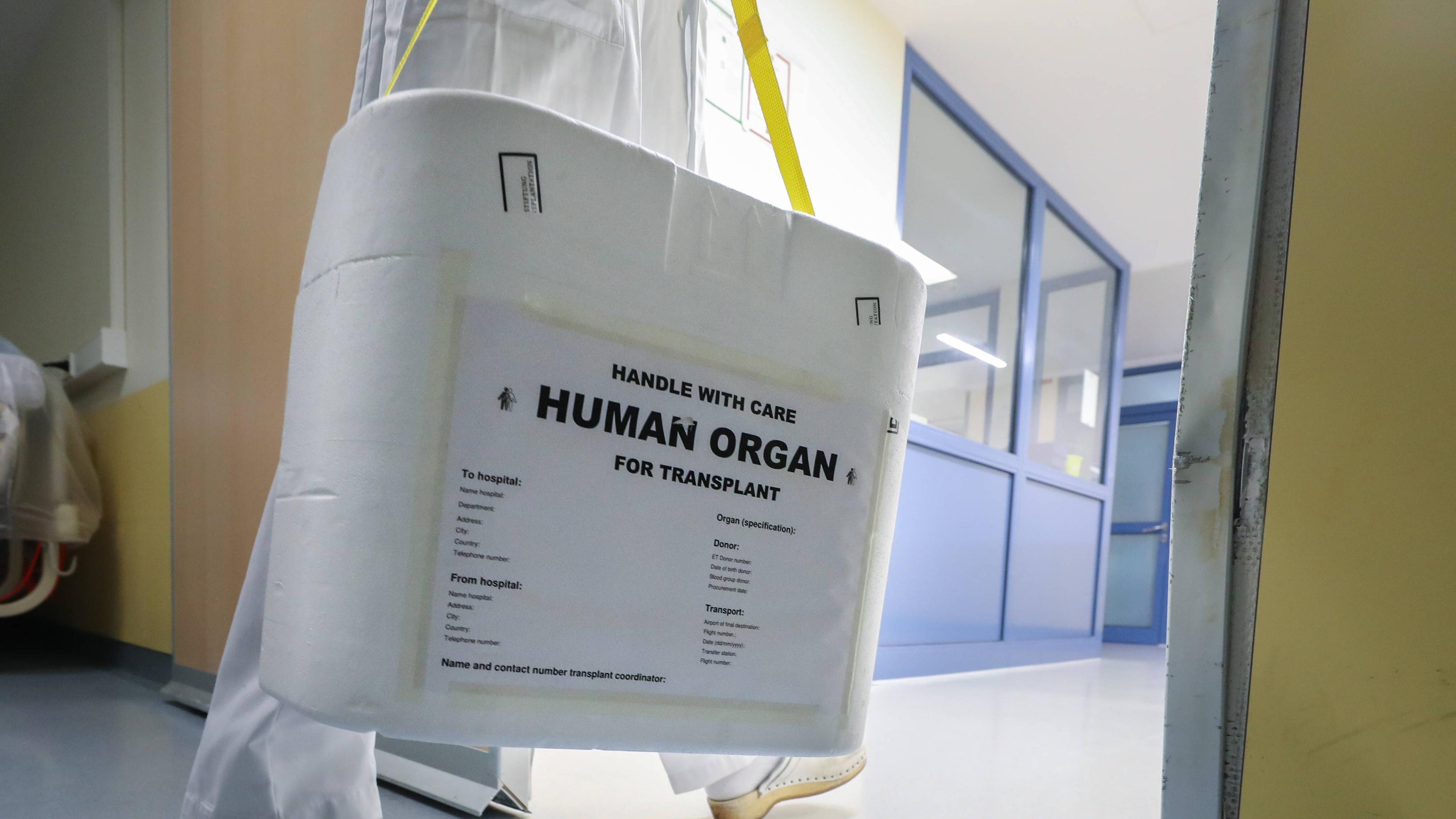 Ein Arzt trägt eine Transplantatbox in einer Klinik