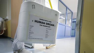 Ein Arzt trägt eine Transplantatbox in einer Klinik