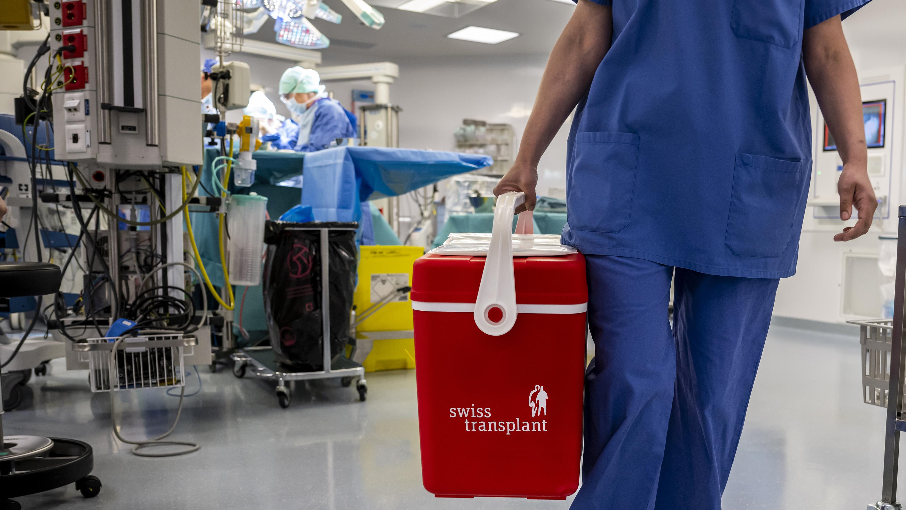 Pflegepersonal mit Organ-Box im Krankenhaus