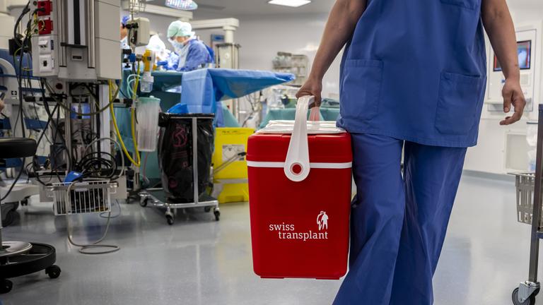 Pflegepersonal mit Organ-Box im Krankenhaus