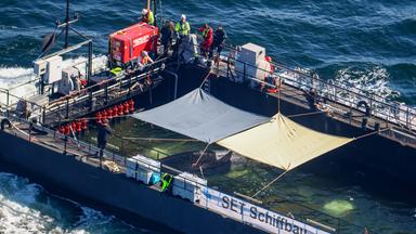 Wal-Transport: Zwischenstopp vor Dänemark wegen hoher Wellen