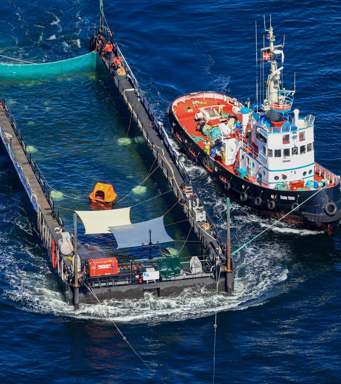 Luftaufnahme des Buckelwals, welcher in seiner Barge vom Schlepper Fortuna B entlang der dänischen Küste in Höhe unterhalb von Skagen, im sogenannten Skagerrak, am 01.05.2026 durch die Ostsee gezogen