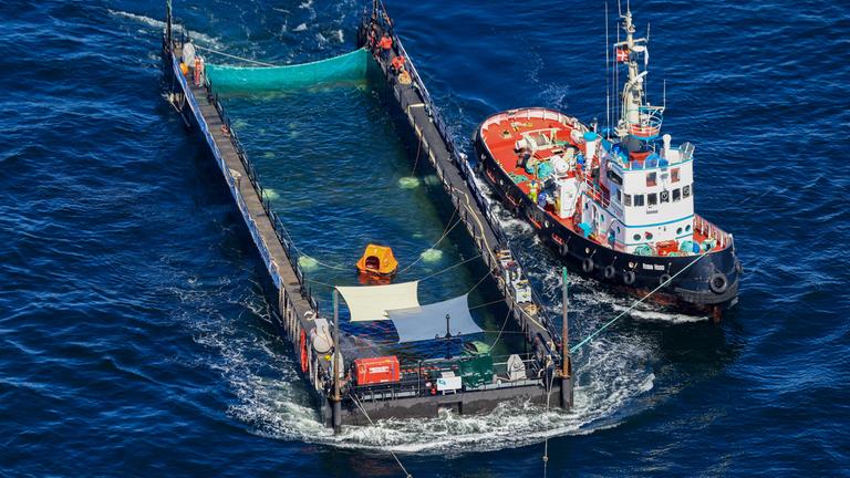 Luftaufnahme des Buckelwals, welcher in seiner Barge vom Schlepper Fortuna B entlang der dänischen Küste in Höhe unterhalb von Skagen, im sogenannten Skagerrak, am 01.05.2026 durch die Ostsee gezogen