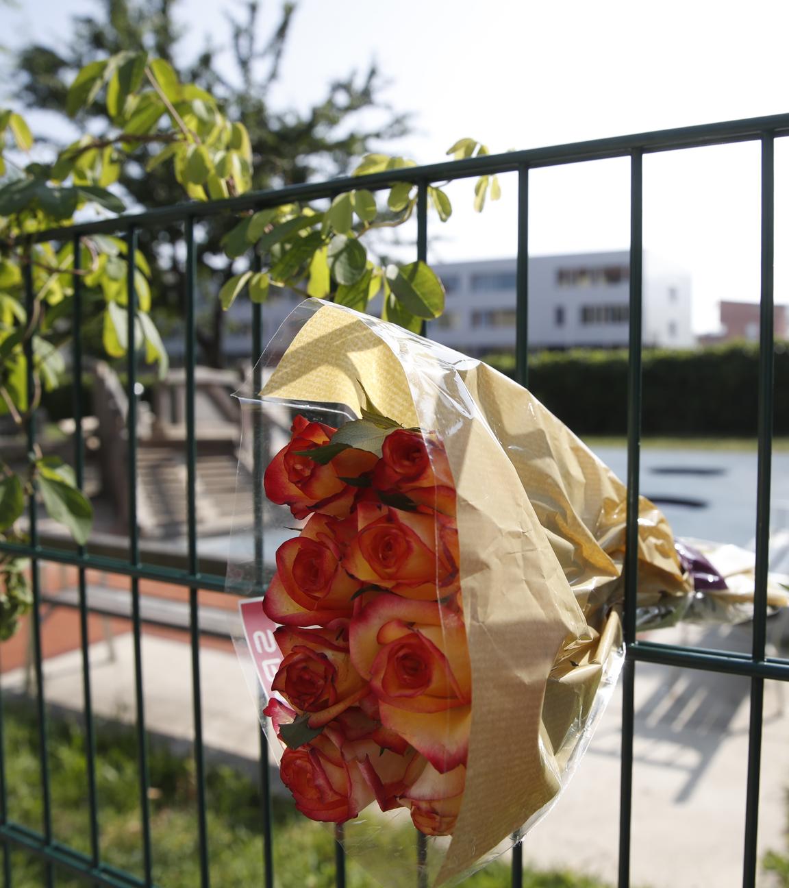 Rosen im Schulzaun