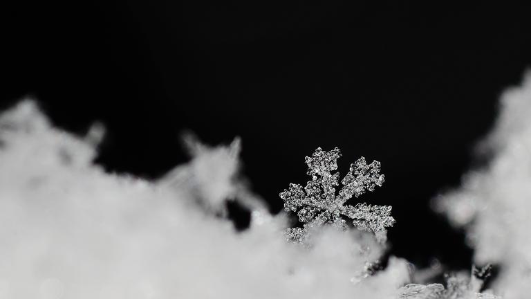 Trauern an Feiertagen