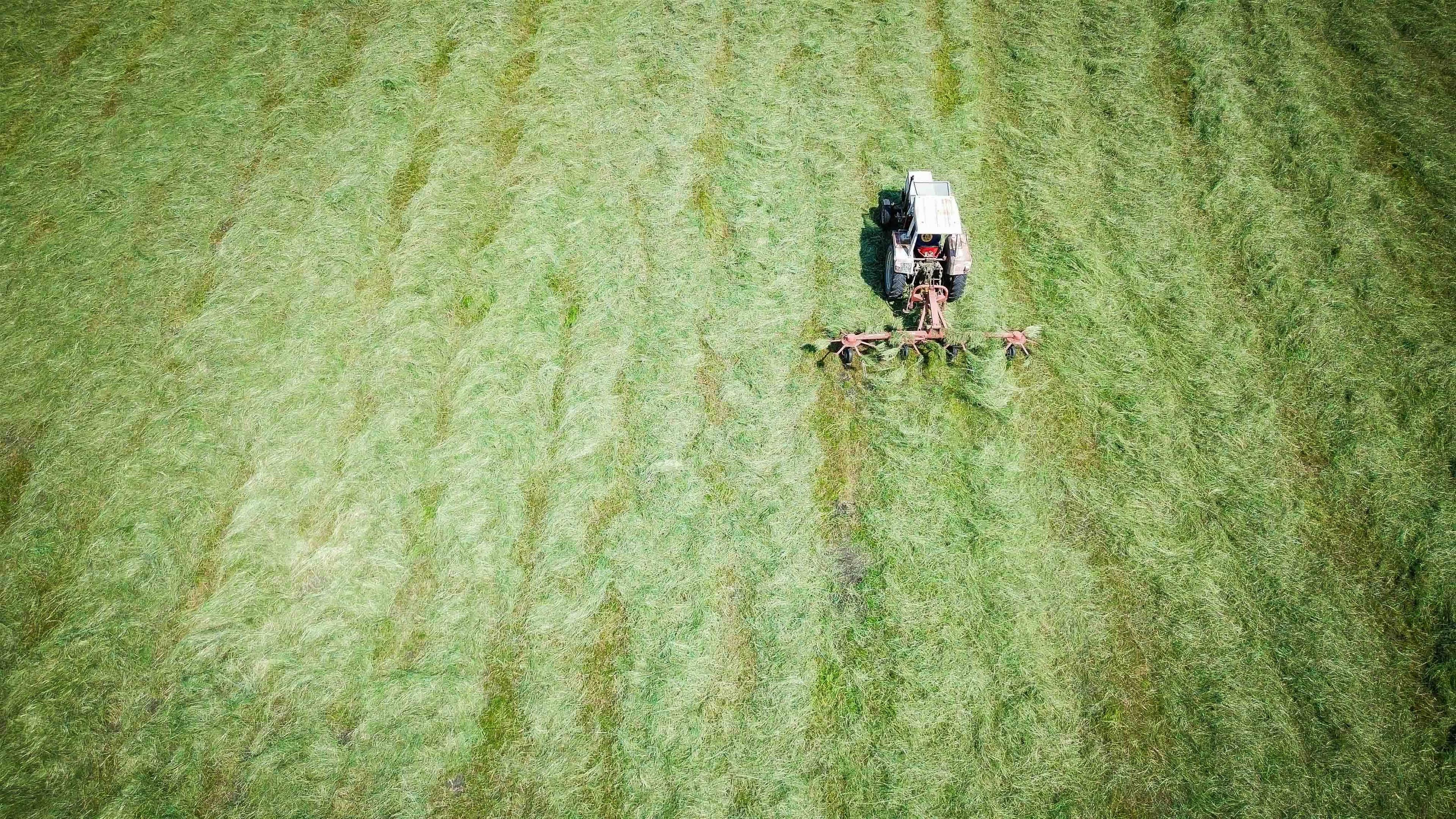 Landwirt mit Trecker bei der Heuernte