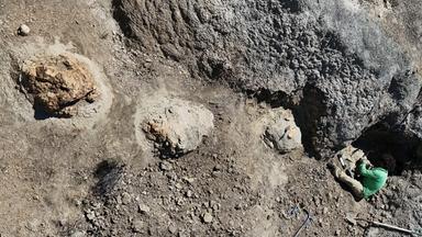 Spurenfolgen von einem ausgewachsenen T-Rex. Wie das Team von der Liverpool John Moores University im Fachmagazin «Journal of Vertebrate Paleontology» berichtet, handelt es sich um den ersten bekannten Fährtenweg