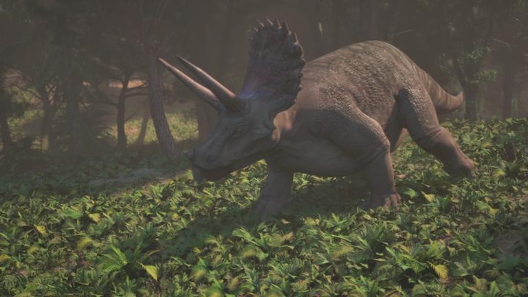 Ein Triceratops läuft über eine Waldlichtung. Der Saurier hat einen wuchtigen, fassförmigen Rumpf und einen kräftigen Schwanz. Sein gewaltiger Kopf hat ein Nackenschild, zwei Stirnhörner und ein spitzes, schnabelförmiges Maul.