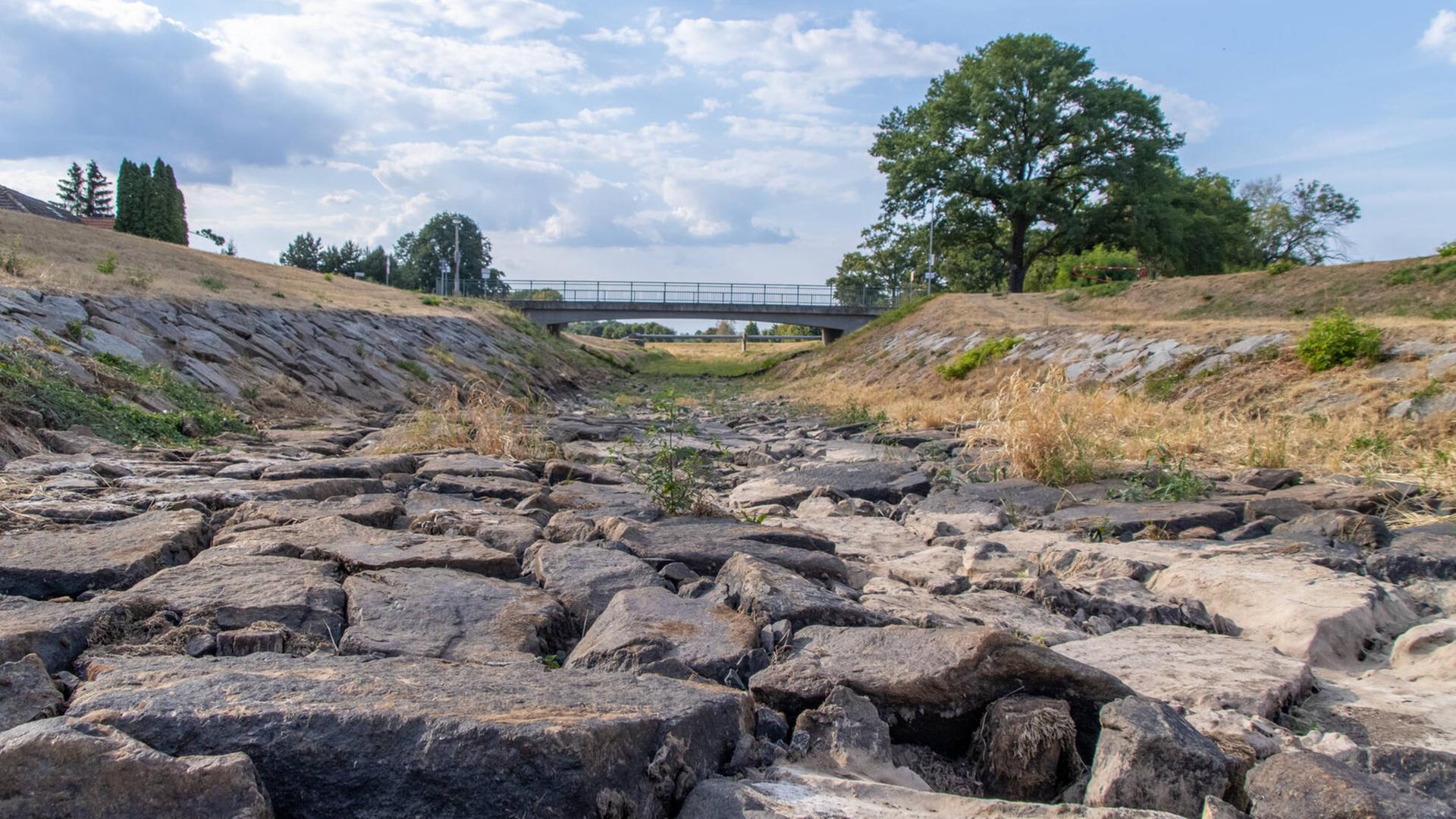 Ein trockenes Flussbett der Schwarzen Elster in Sachsen, an der Grenze zu Brandenburg, am 09.08.2022.