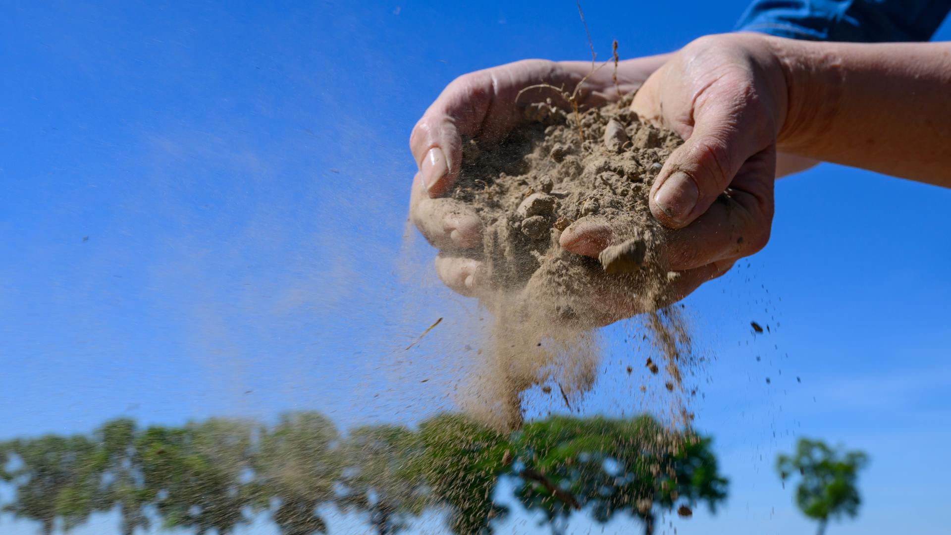 Symbolbild: Die Hände einer Frau zeigen trockenen Ackerboden auf einem Feld. 