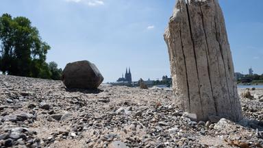 Klimaforscher: "Wir dürfen Wasser nicht einfach verschenken"