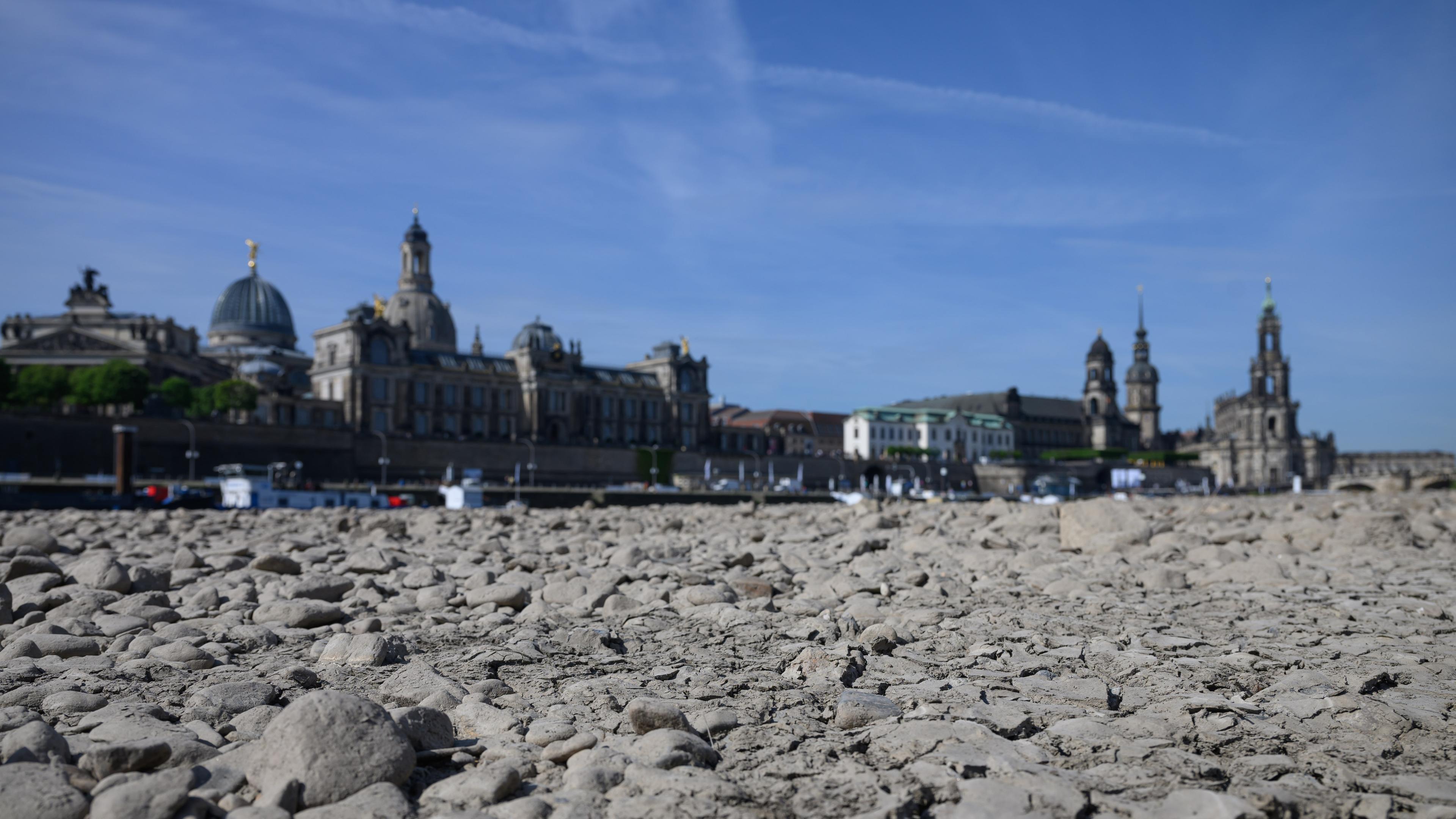 Trockenheit in Dresden