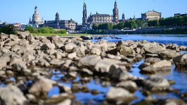 Sachsen, Dresden: Steine liegen am ausgetrockneten Ufer der Elbe vor der historischen Altstadtkulisse.