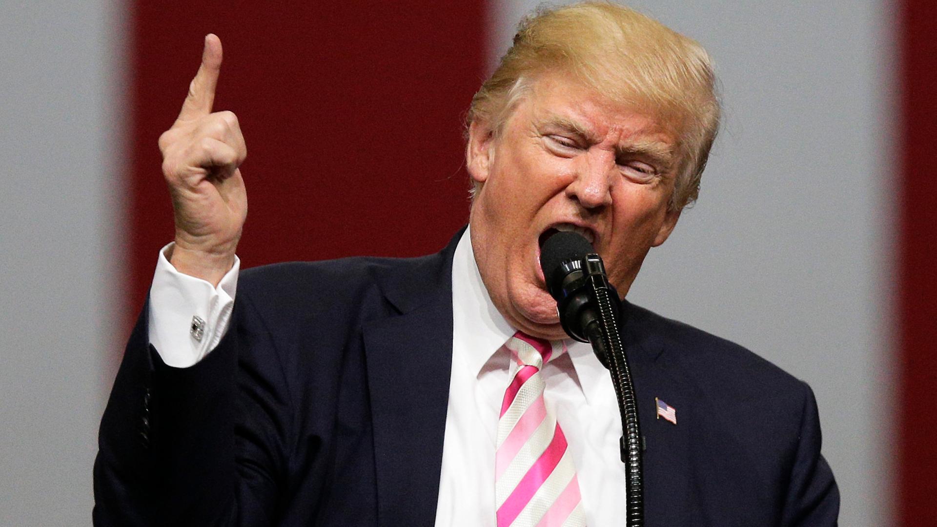 Donald Trump spricht gestikulierend in ein Mikrofon
