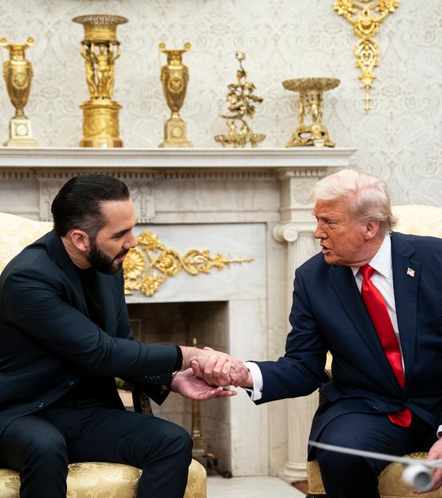 US-Präsident Donald Trump und der Präsident von El Salvador, Nayib Bukele, sitzen in Anzügen in hell gepolsterten schweren Sesseln vor einem mit goldenen Pokalen geschmückten Kamin im Weißen Haus und geben sich die Hand.