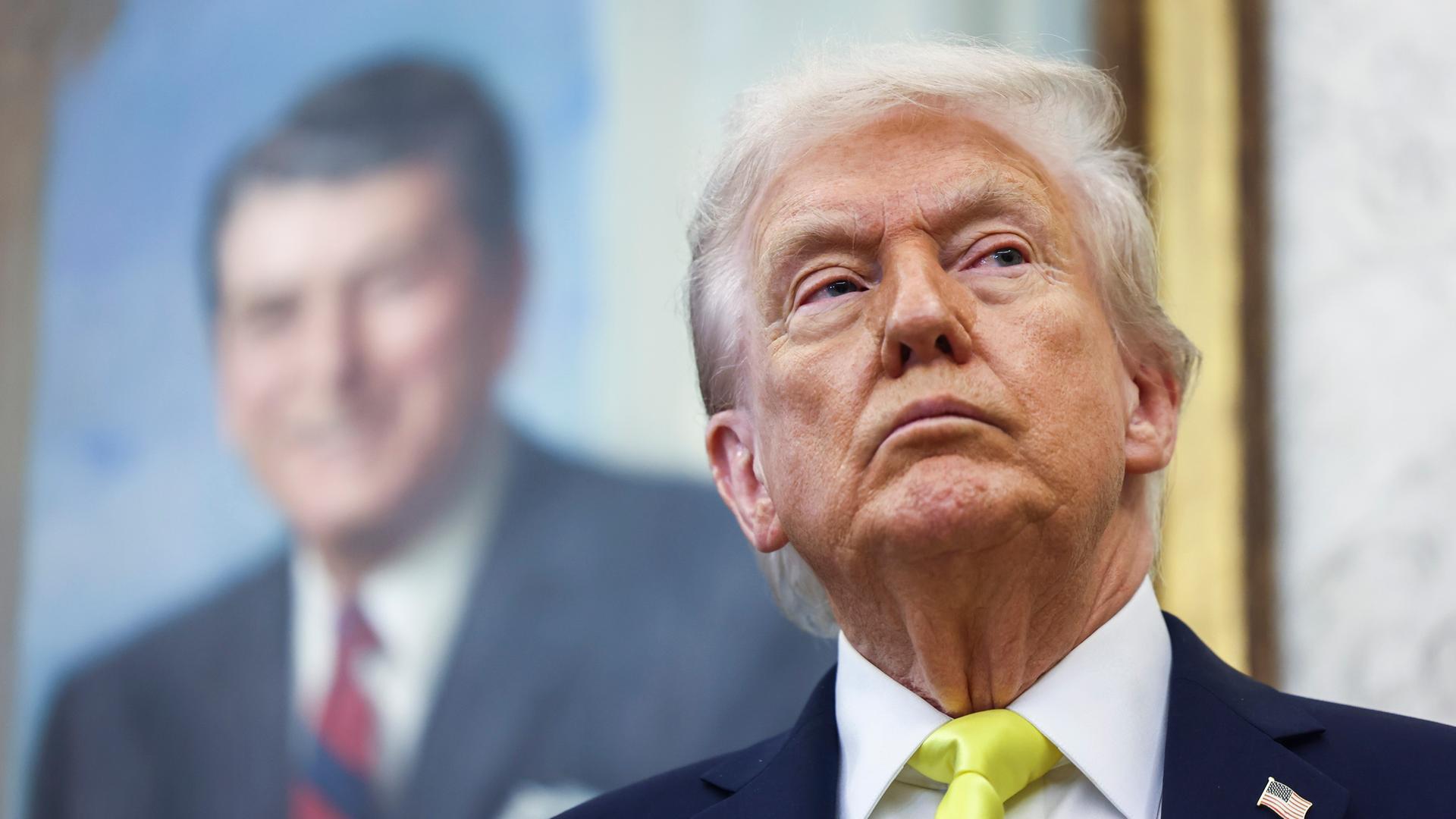 Donald Trump spricht im Weißen Haus vor einem Porträt von Ronald Reagan