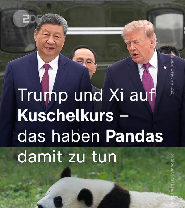 Trump Xi Kuschelkurs 