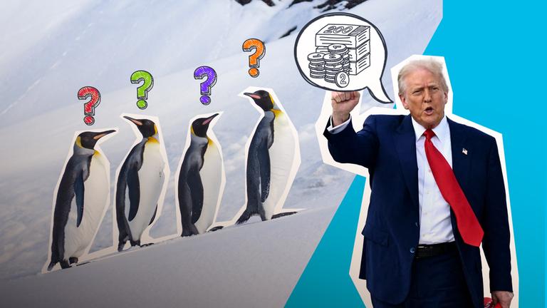 Trump will Zölle - Pinguine auf den Heard-Inseln