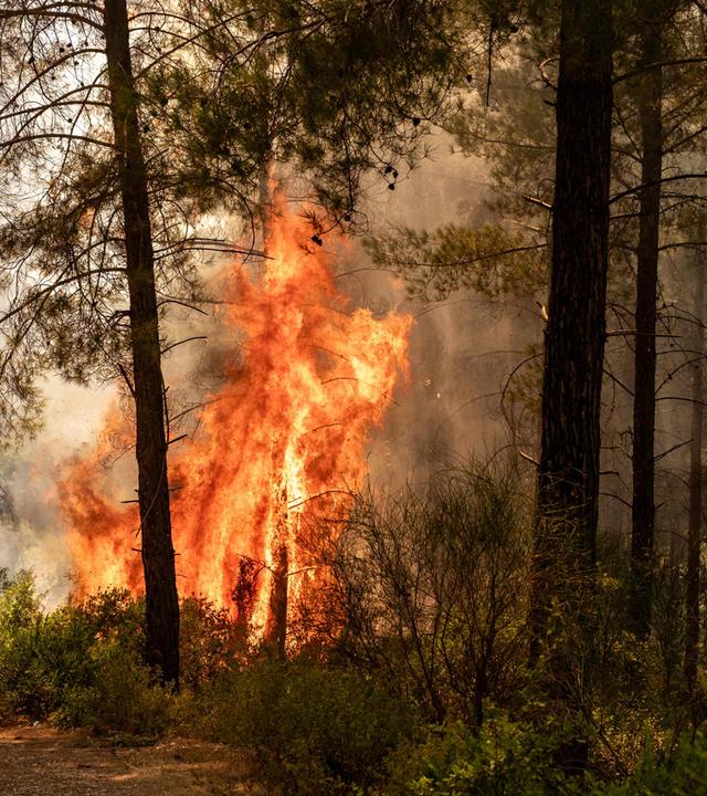 TURKEY-ENVIRONMENT-CLIMATE-WILDFIRE
