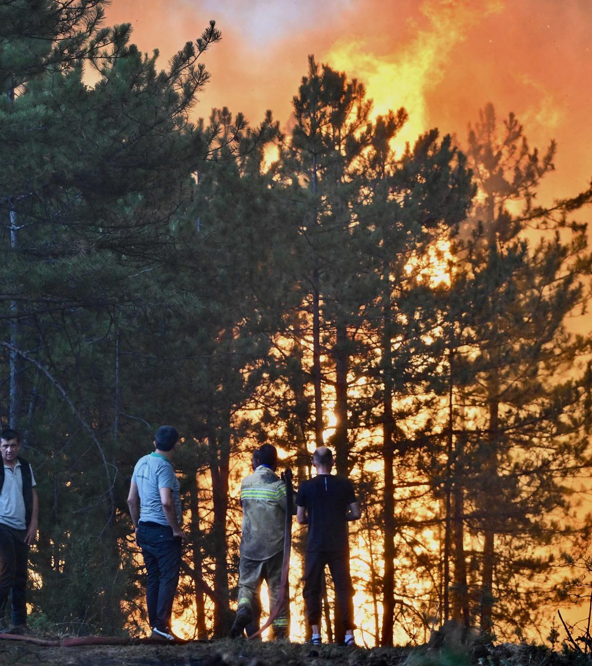 Karabük, Türkei: Einsatzkräfte der Feuerwehr und Anwohnende schauen auf brennende Bäume.