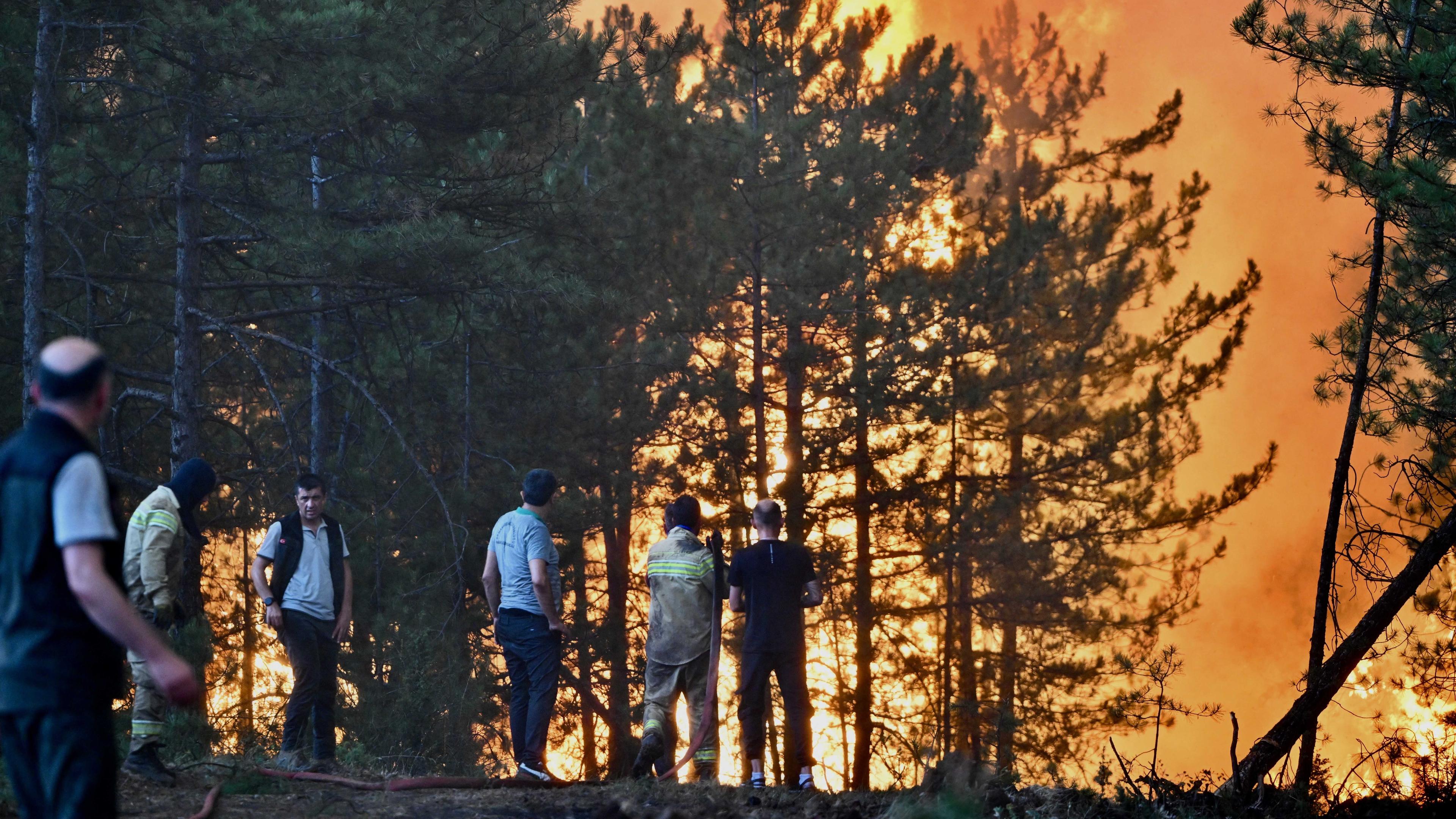 Karabük, Türkei: Einsatzkräfte der Feuerwehr und Anwohnende schauen auf brennende Bäume.