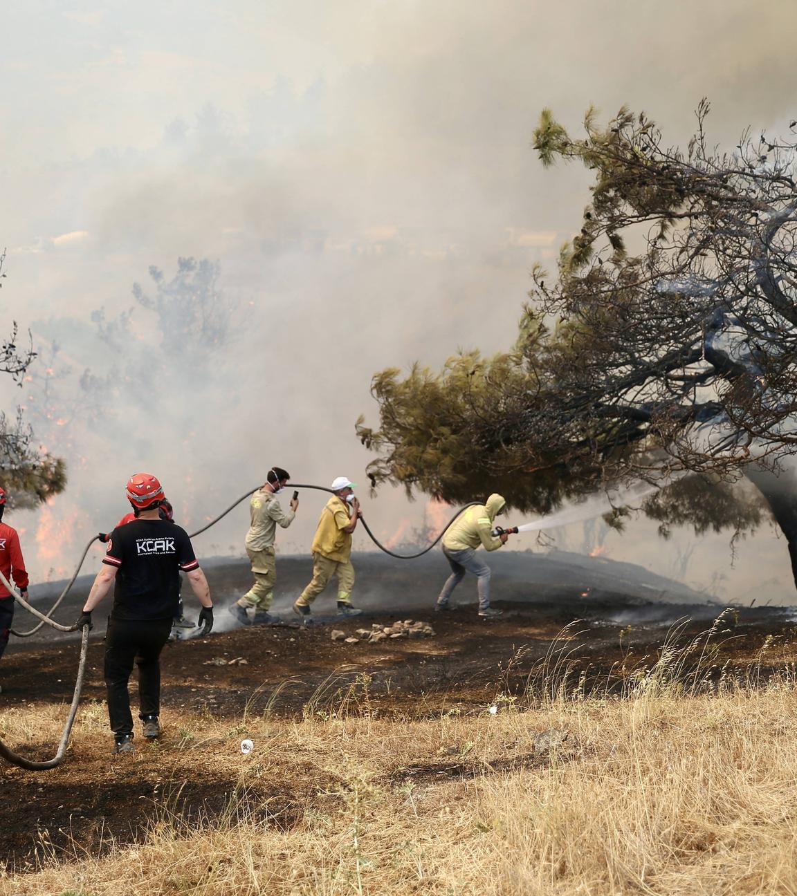 Türkei: Brandbekämpfung im Waldgebiet zwischen den Bezirken Gürsu und Kestel in Bursa