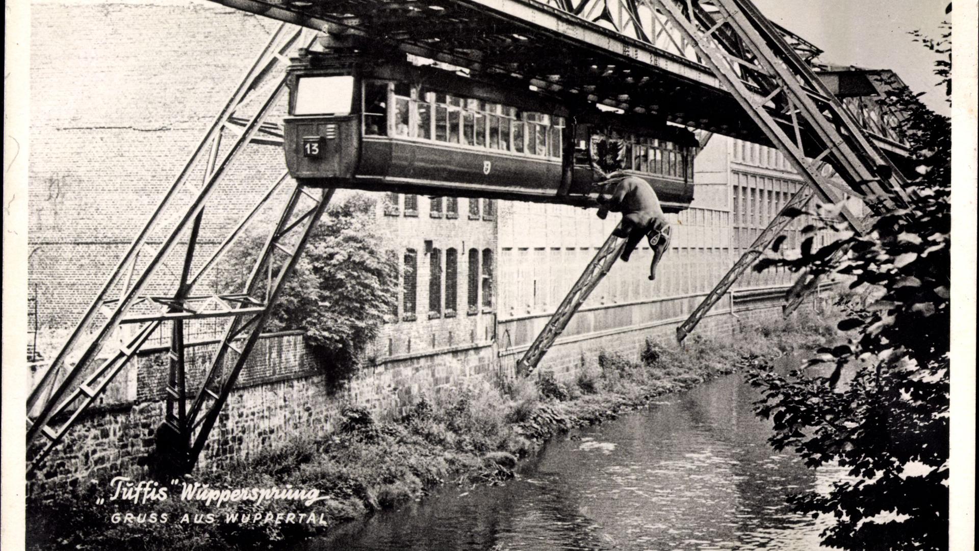Postkarte mit Fotomontage: Elefant Tuffi beim Sprung aus Schwebebahn in Wuppertal 1950