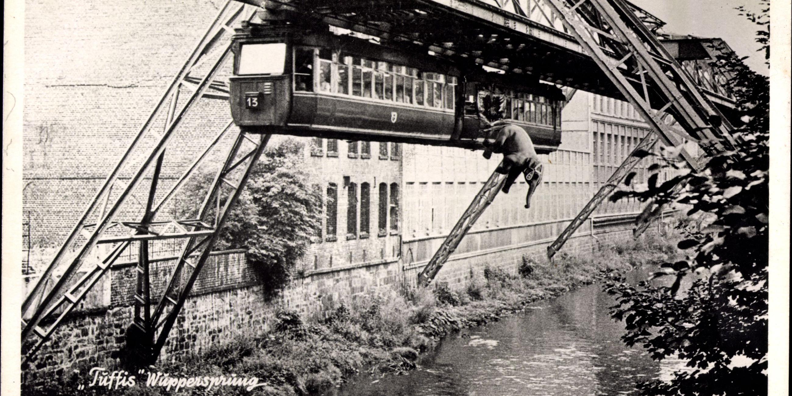 Postkarte mit Fotomontage: Elefant Tuffi beim Sprung aus Schwebebahn in Wuppertal 1950