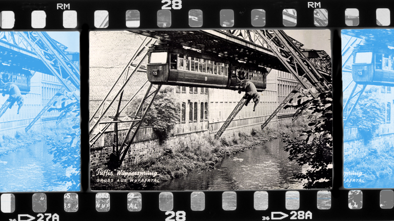 Postkarte mit Fotomontage: Elefant Tuffi beim Sprung aus Schwebebahn in Wuppertal 1950