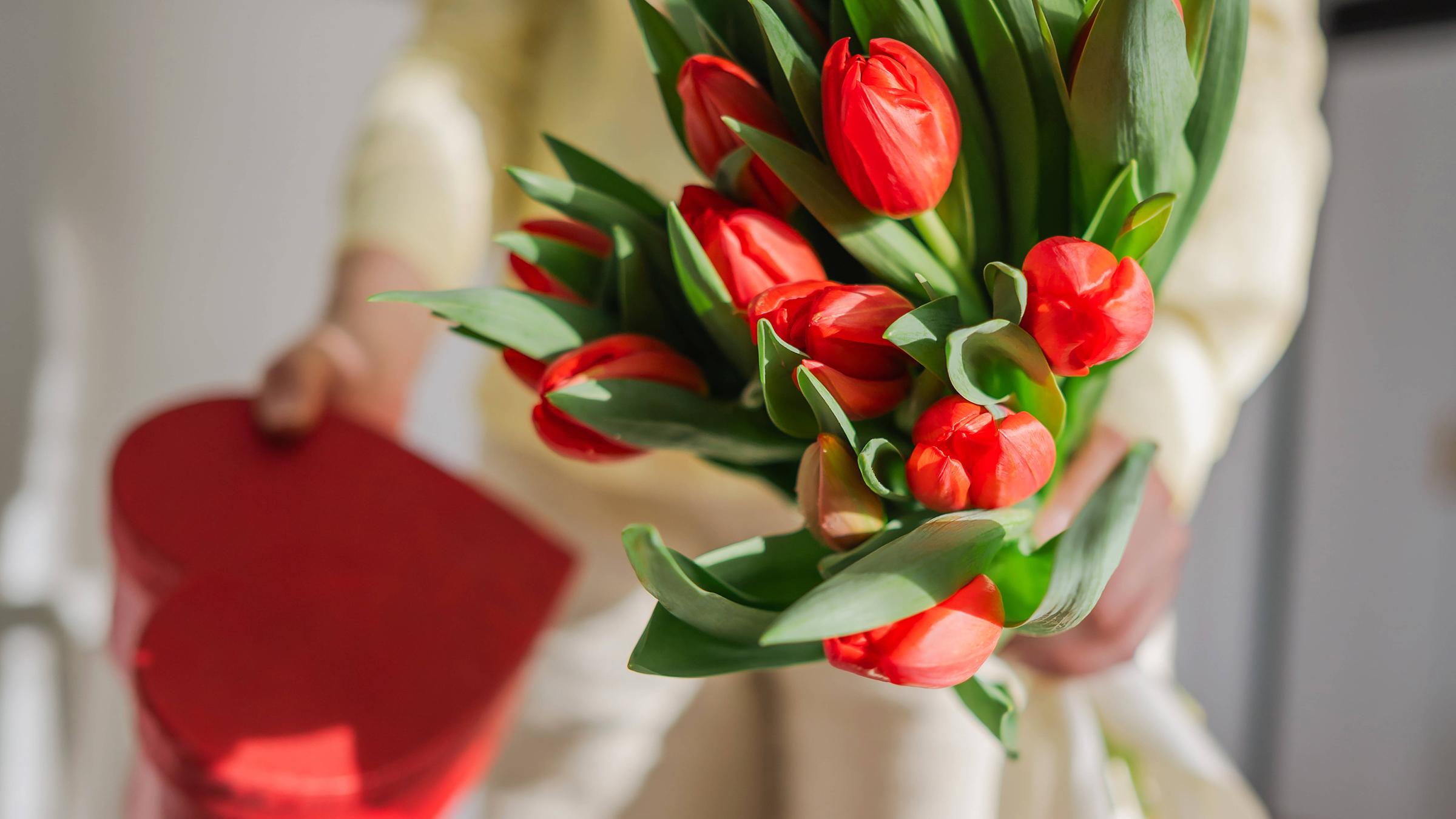 Eine Frau hält einen Strauß roter Tulpen in der einen Hand, in der anderen eine rote herzförmige Schachtel