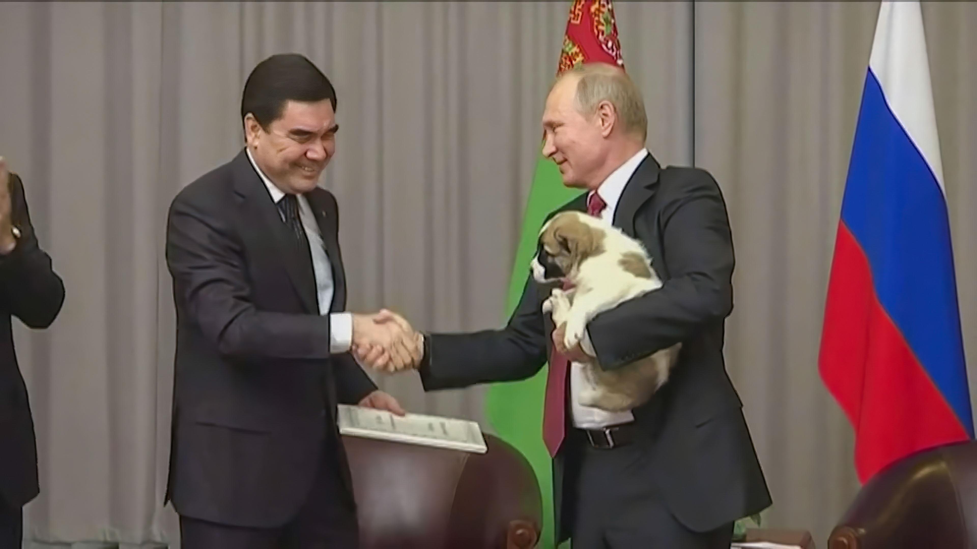 Putin und Berdimuhamedow geben sich vor einem grauen Vorhang und der turkmenischen sowie der russischen Flagge die Hand, Putin hält einen Schoßhund auf dem Arm.