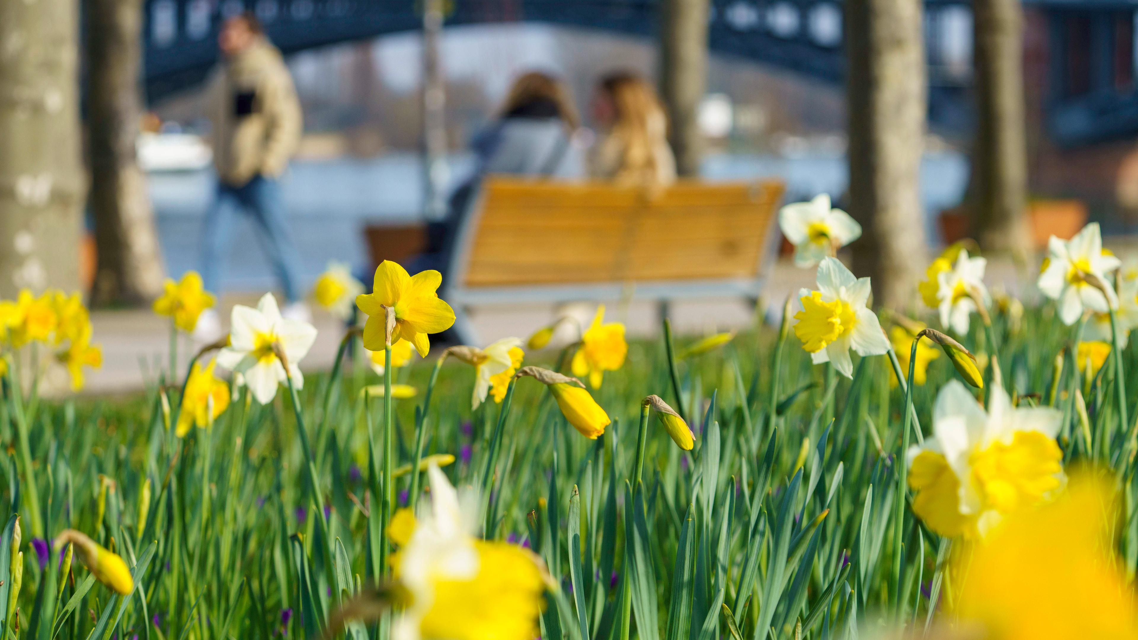 Typical: Frühling