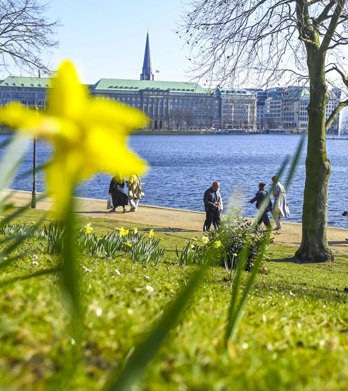 Frühlingsblumen am Ufer der Binnenalster in Hamburg. (Archiv)