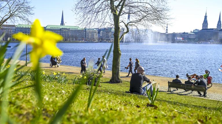 Frühlingsblumen am Ufer der Binnenalster in Hamburg. (Archiv)