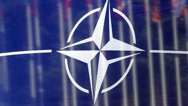 Nato auch ohne USA 