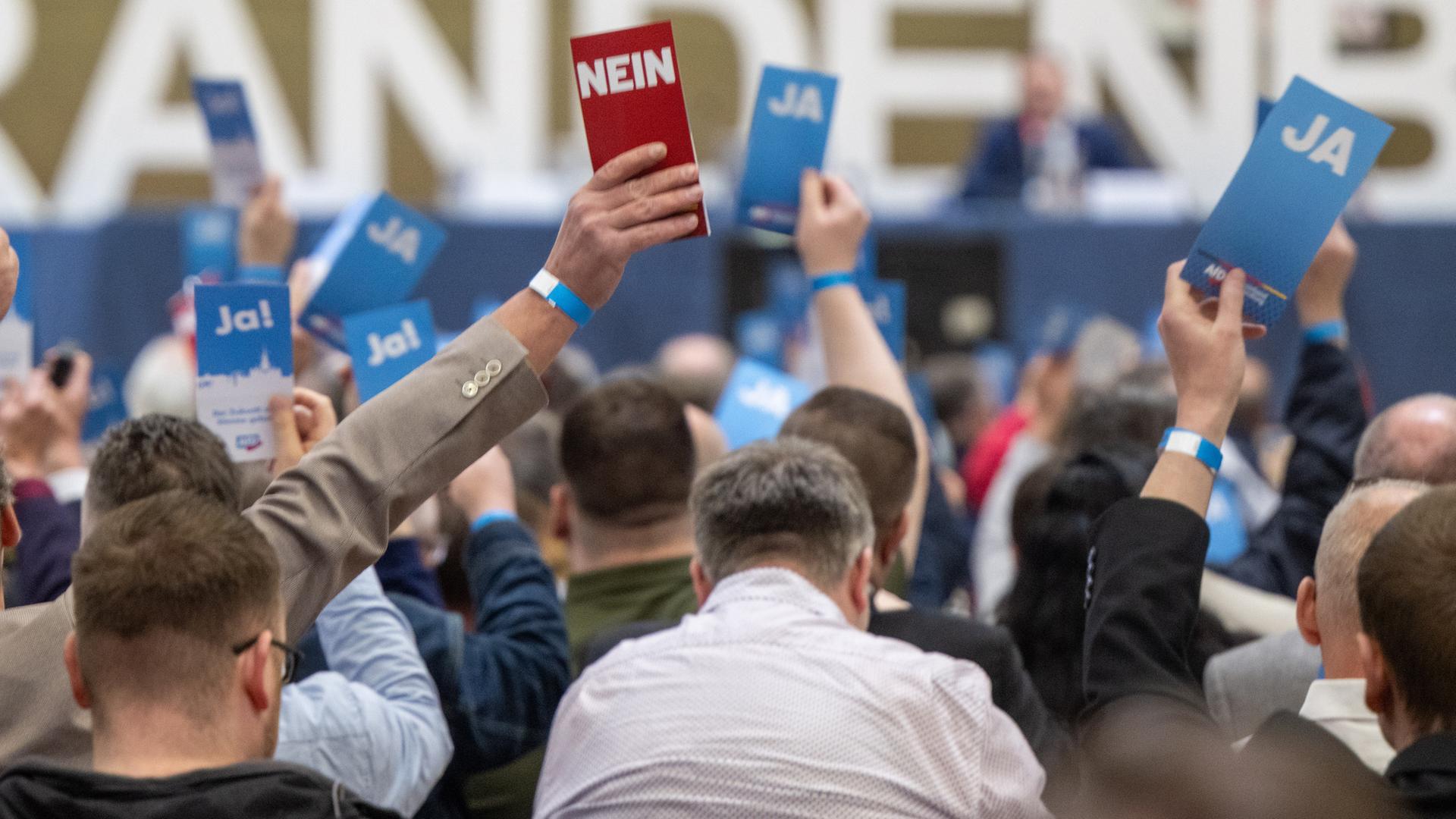 Typical: Parteitag AfD