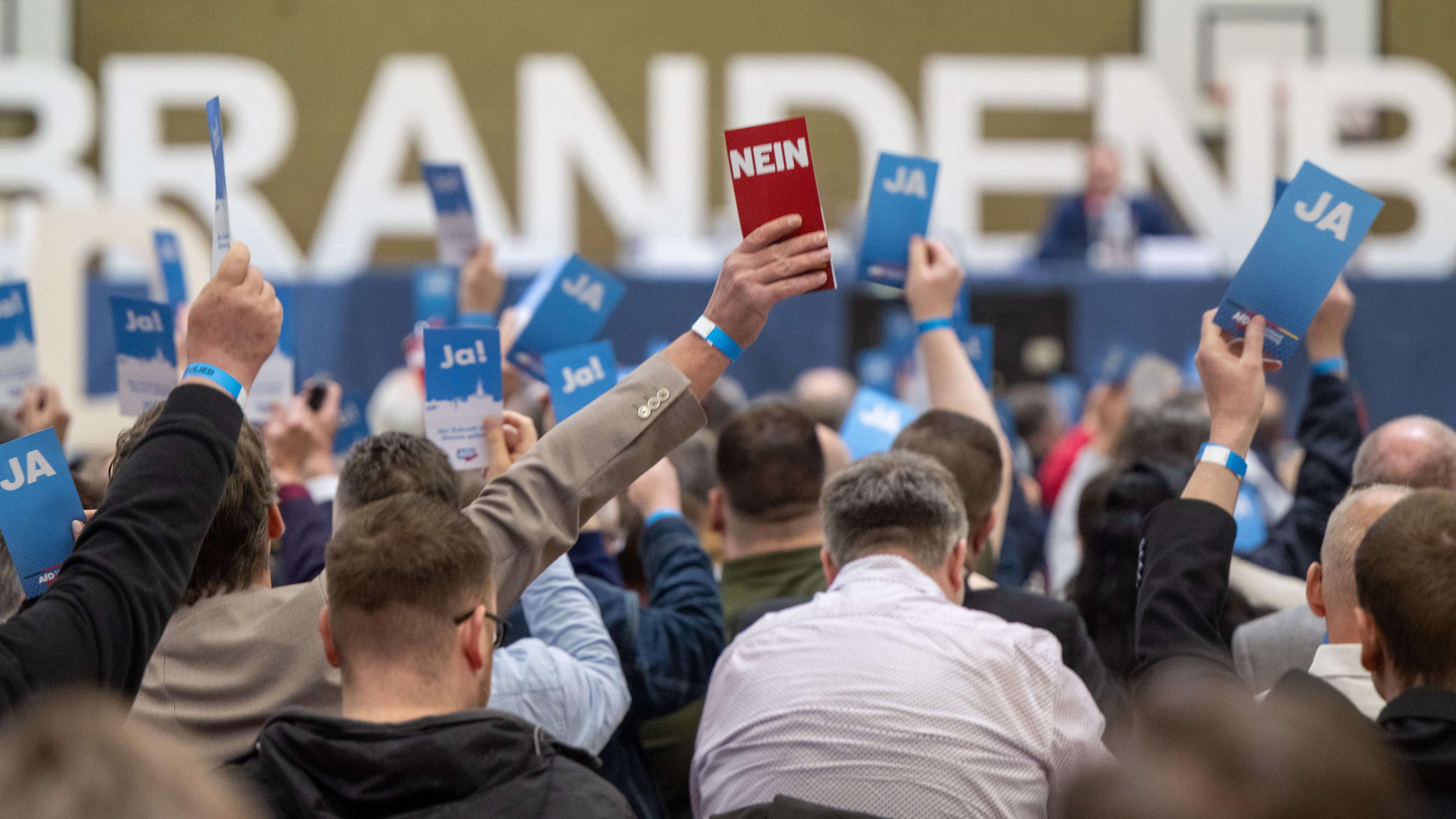 Typical: Parteitag AfD