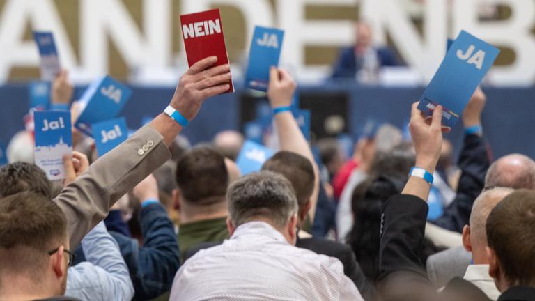 Typical: Parteitag AfD